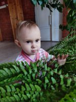 IMG_20260407_095632.jpg