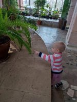 IMG_20260407_095741.jpg