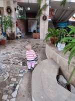 IMG_20260407_095932.jpg