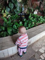 IMG_20260407_100434.jpg