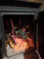 IMG_20260408_051516.jpg