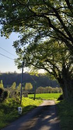 IMG_20260408_192019.jpg