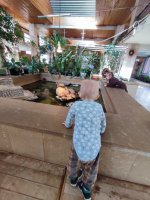 IMG_20260409_104312.jpg