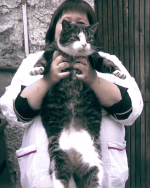 _____2 (1) (1) (1) (1) (1) (1).png