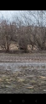 IMG_20260412_235035_726.jpg
