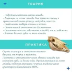 2.webp