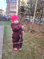 IMG_20260413_173617.jpg