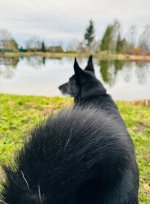 IMG_8190.jpeg
