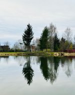 IMG_8187.jpeg