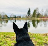 IMG_8188.jpeg