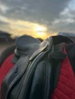 IMG_8204.jpeg