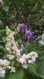 IMG_20260416_204415.jpg