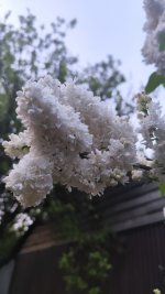 IMG_20260416_204341.jpg