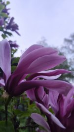 IMG_20260416_204325.jpg
