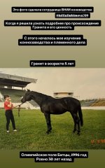 IMG_5516.jpeg