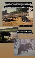 IMG_5518.jpeg