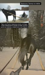 IMG_5519.jpeg