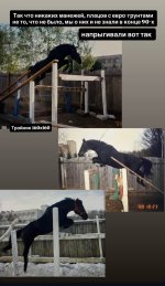 IMG_5520.jpeg