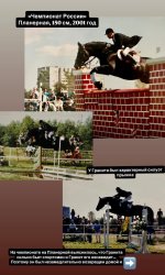 IMG_5528.jpeg
