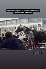 IMG_5529.jpeg