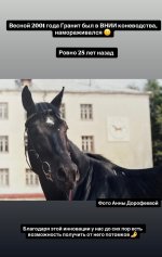 IMG_5532.jpeg