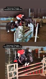 IMG_5534.jpeg