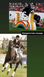 IMG_5539.jpeg