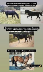 IMG_5550.jpeg