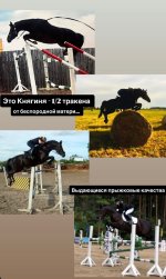 IMG_5551.jpeg