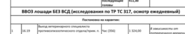 IMG_2005.jpeg