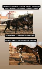 IMG_5568.jpeg