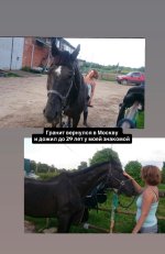 IMG_5574.jpeg