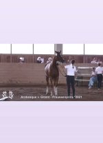 IMG_5577.jpeg