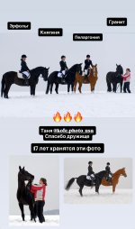 IMG_5578.jpeg