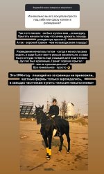 IMG_5581.jpeg