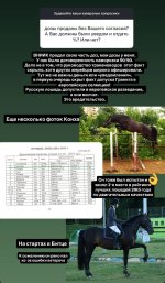 IMG_5583.jpeg