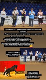 IMG_5602.jpeg