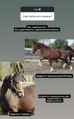 IMG_5605.jpeg