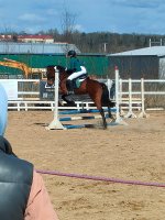 IMG20260418130402.jpg