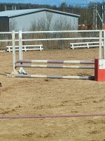 IMG20260418130415.jpg