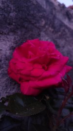 IMG_20260418_210206.jpg
