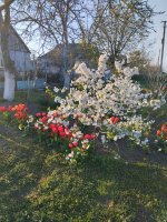 IMG_20260419_184042.jpg