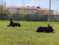 IMG_20260419_112630.jpg