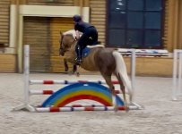 IMG_5687.jpeg