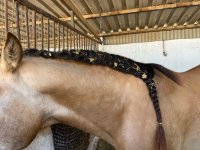 IMG_1496.jpeg