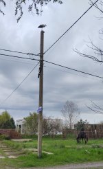 IMG_20260420_151529.jpg