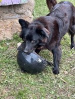 IMG_8246.jpeg
