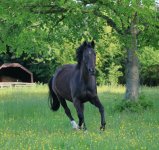 IMG_6078 copie.JPG