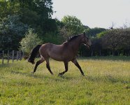 IMG_6092 copie.JPG