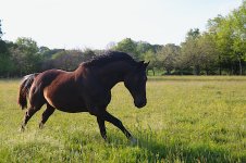 IMG_6141 copie.JPG